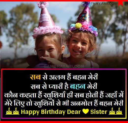 Happy Birthday Shayari For Sister in Hindi