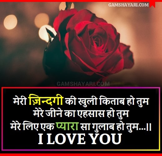 I love you shayari in hindi